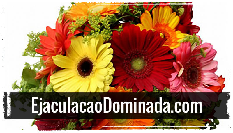 O que fazer no dia seguinte